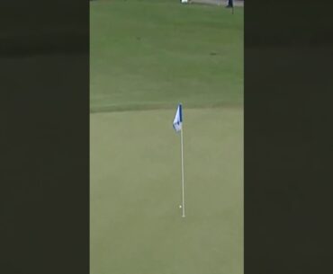 First ace of the LPGA season! 🎯