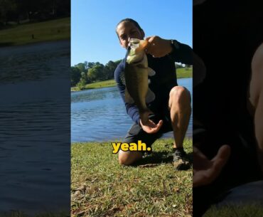Nice two Pounder