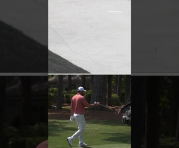 Scottie Scheffler slams his club after hitting a tree #shorts #golf