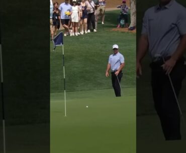 Ryan Fox Chips in 2025 #ryanfox  #pgatour #golfswing #golf
