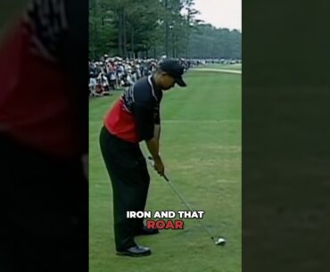 Tiger | 1999 | Par 3 = EPIC 🐅 ⛳️ #shorts #tigerwoods #golf #highlights