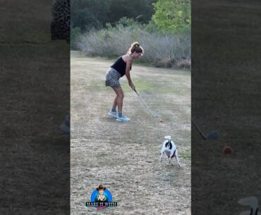 Playing golf fetch with my BFF Stella #askmaryburke #maryburke #themaryburke #golfgirl