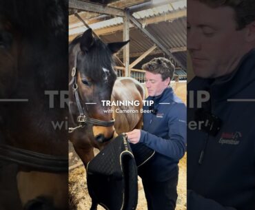 Touch Training with Cameron Beer | Training Tip Tuesday