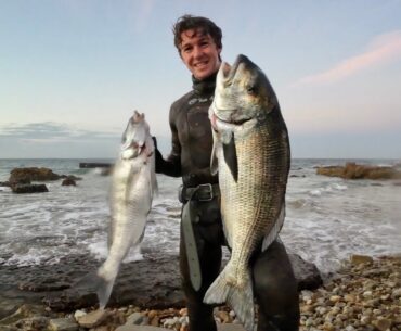 Spearfishing Tips & Tricks: How I spearfish in the murky waters of SOUTH AFRICA