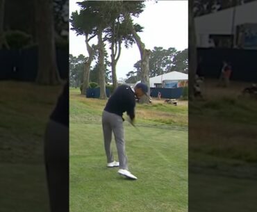 2020: No Fans? = chills. 👀🐅🚀 #shorts #tigerwoods #golf #highlights
