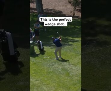 The execution on this shot was perfect 😮‍💨 #golf