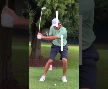 Min Woo Lee vs Scotty Scheffler Swing