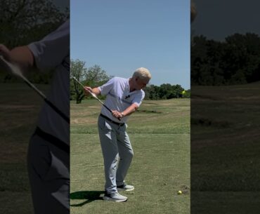 The Perfect Golf Swing (TIPS)