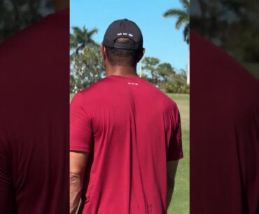 Tiger Woods' magic around the greens. #TaylorMade