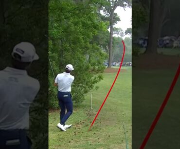 INSANE shot from Cameron Young 🤯
