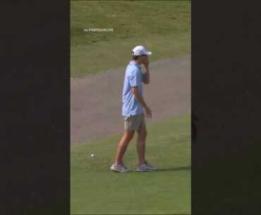 A fan caught Brandt Snedeker's ball! 😯 #shorts