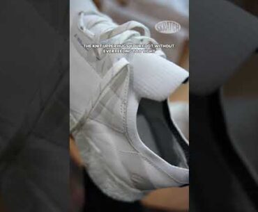 Unboxing The ECCO BIOM H5