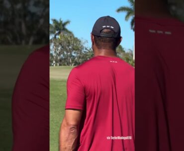 Tiger Woods has still got it! 😅 #shorts