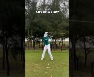 The Best Golf Driver Swings on LPGA Korea