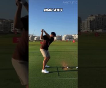 PGA Best Golf Driver Swing Collection