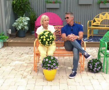 HSN | Guy's in the Garden 04.25.2025 - 11 AM