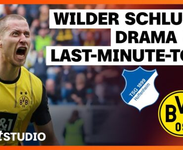 TSG Hoffenheim – Borussia Dortmund | Bundesliga, 31. Spieltag 2024/25 | sportstudio