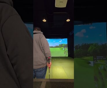 Golf Galaxy Sim. Shot from the wrong fairway.