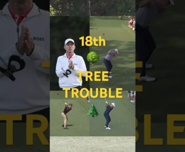 18th Tree Trouble