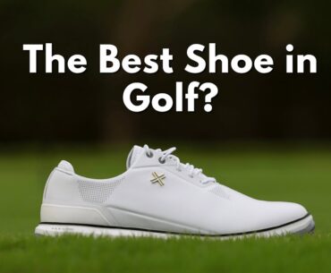 The Best Payntr Shoes Yet.