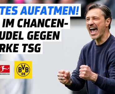 TSG Hoffenheim - Borussia Dortmund | Bundesliga Tore und Highlights 31. Spieltag
