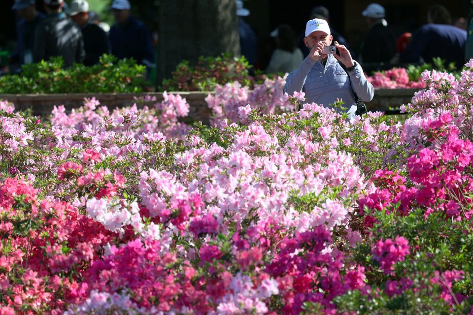 A Masters patron takes a photograph of the azaleas during yesterday's practice round. Photo: Reuters