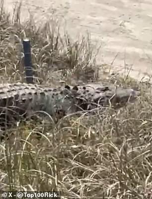 It apparently isn't the first time that players have been disrupted at the Kiawah Island course