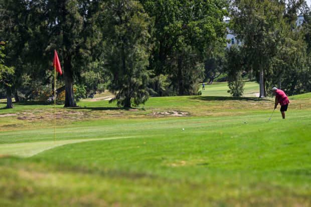 A golfers chips us to the green as he plays...