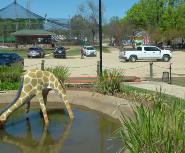 Flooded Memphis Putt-Putt works to clean up and reopen mini-golf courses