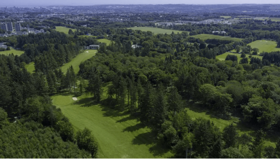 Aerial view of a golf course surrounded by trees.