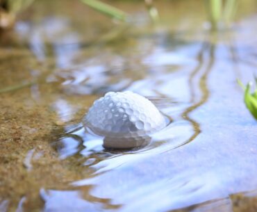 After just two weeks, the ball is essentially gone.