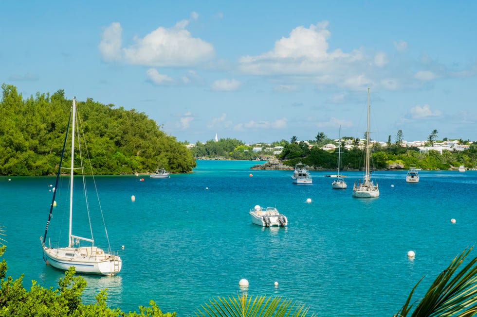 bermuda sail community
