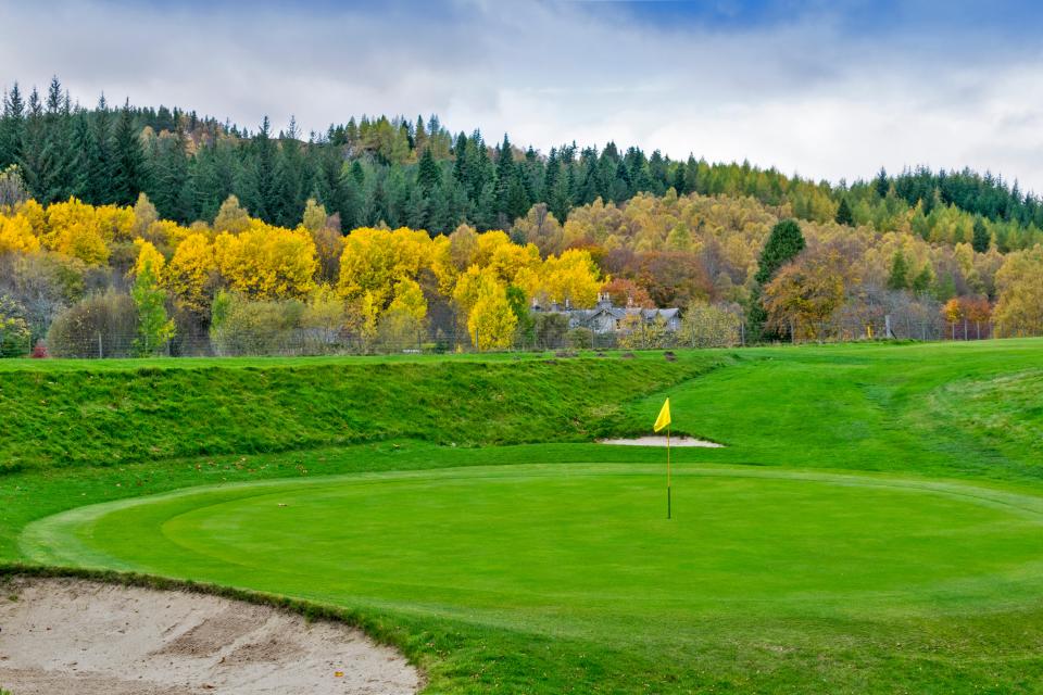 Golf green with flag and autumnal trees in the background.