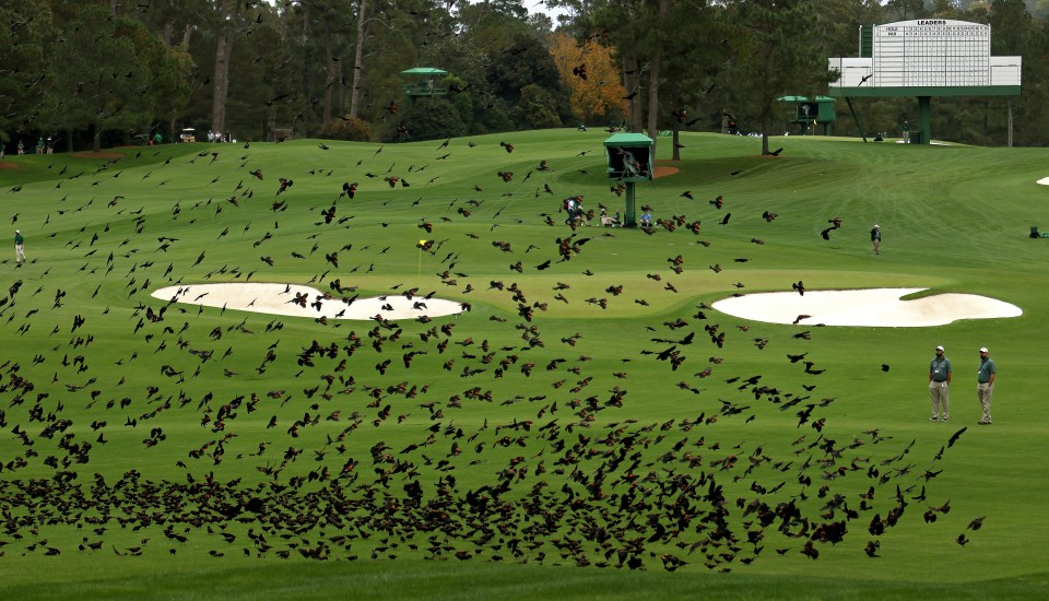 The major, which is usually held early in the year, took place in November due to the pandemic