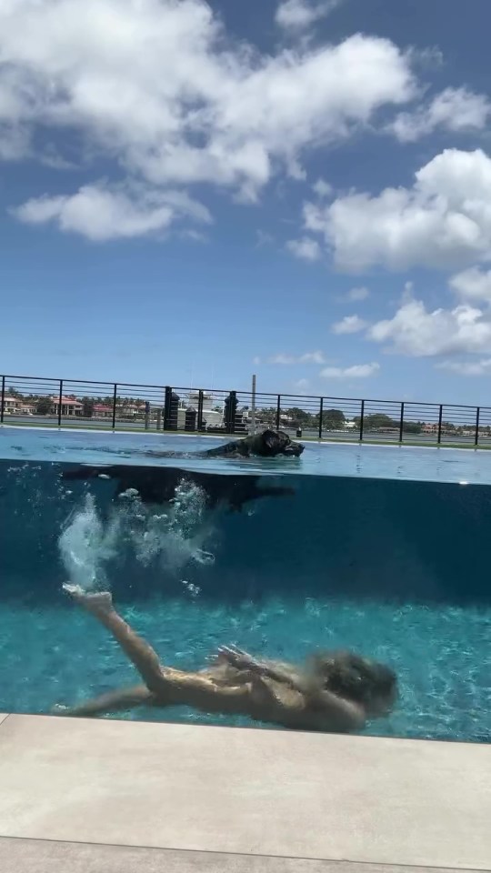 Person and dog swimming in a pool.