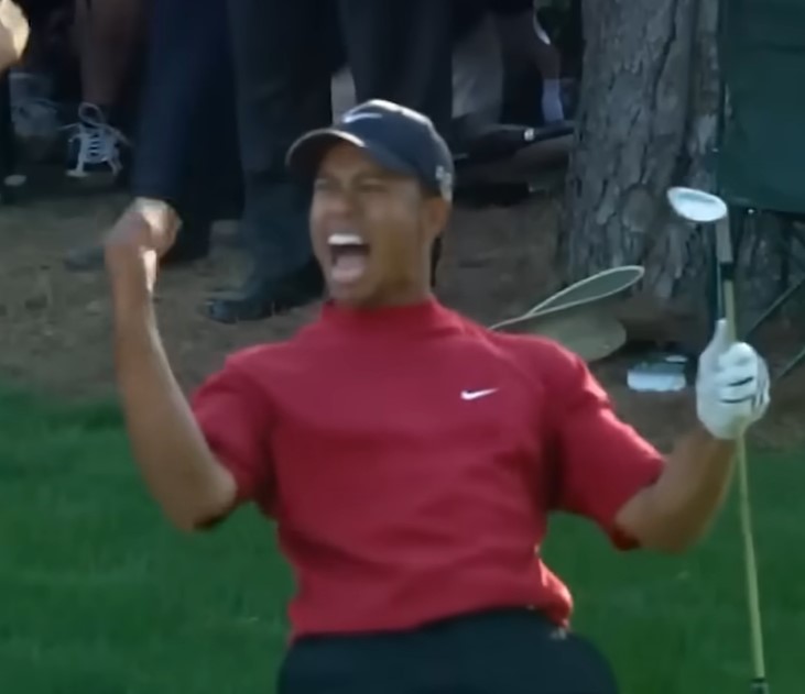 A fired-up Woods celebrated his unbelievable shot