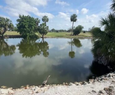 State program manages pesticides at Manatee golf courses