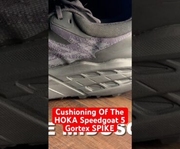 INSANE CUSHION RUNNING SHOE HOKA SPEEDGOAT 5 Gortex Spike