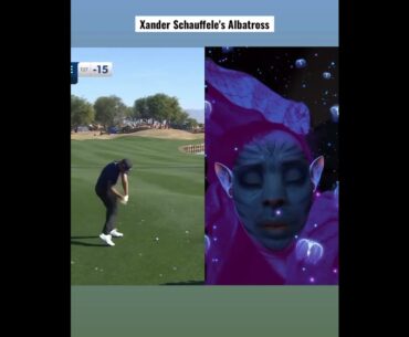 Xander Schauffele Rips Historic Final Round Albatross Stadium Golf Course #golf #shorts #short