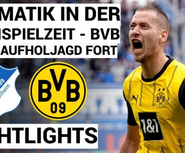 TSG Hoffenheim - Borussia Dortmund | Hightlights | Bundesliga, 31. Spieltag 24/25 | Hoffenheim - BVB