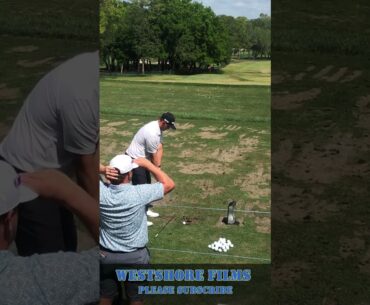 Rico Hoey golf swing on the driving range Valspar Championship #shorts #golfcourse #golf