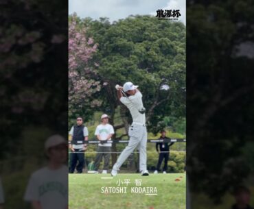 #前澤杯 2R                                           スタートショット集🐚🫧[PART1] #jgto #golf #ゴルフ #shorts