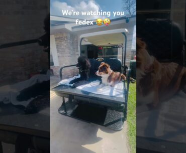 When you gotta let’em know you watchin 👏🤩
