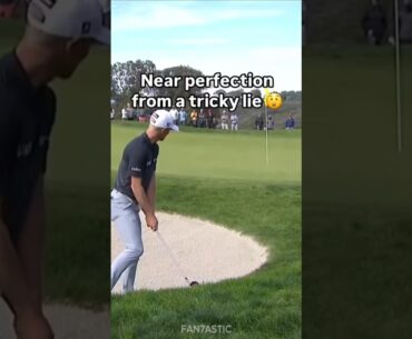 Will Zalatoris Perfect Golf Chip Shot