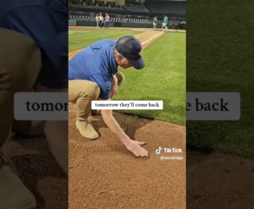 Clean Edges and Proper Moisture in MiLB Infield Post-game