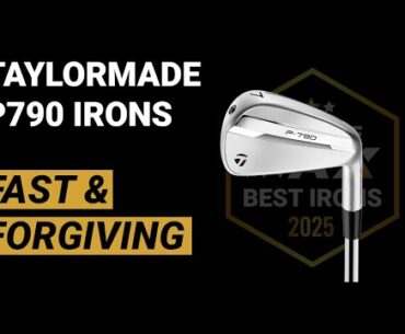 TaylorMade P790 Irons: Top option for mid-handicap golfers or copy & paste? Expert fitters weigh in!