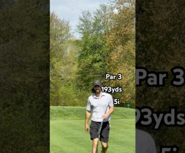 Tommy Fleetwood but from Temu