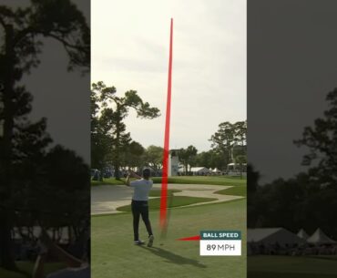 Andrew Novak Iron Swing 2025 #andrewnovak   #pgatour #golf #golfswing