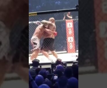 Mariusz Pudzianowski znokautowany w 30 sekund przez Halla 😱 #ksw105 #mma #ko #pudzianowski #tko