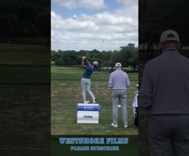 Cameron Young golf swing on the driving range Valspar Championship #shorts #golfcourse #golf